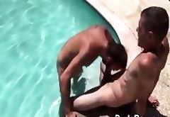 Bear Gobbles In The Pool