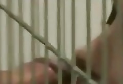 caged slut