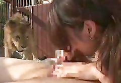 Japanese chick fucked inside the lions cage