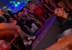 Dick hungry clubbing bitches do their best while sucking cocks at the party