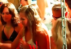 Enthralling group sex party with slutty party girls