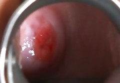 Peppering blond babe dildo fucks her punani until it gets bloody inside