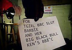 Tgirl BBC slut teases a BB8inchC for an ass pounding