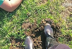 Bruxxia Manure Hand Crushing with Hard Rubberboots