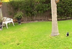 Wet sex in the backyard with a petite girl