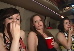 Sexy party girls show their boobs and asses in a limousine