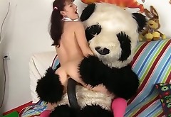 Naughty college student fucks with nasty panda bear toy