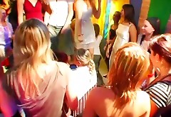 Galore of drunk girls are ready for group orgy after party