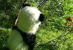 Little Red Riding Hood fucking with panda bear sex toy in the woods